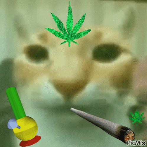 jamesboong