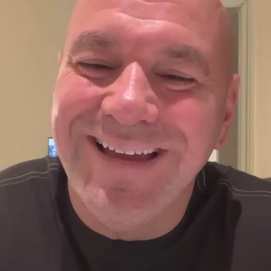 yxllo3 avatar