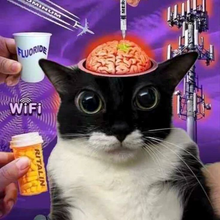 inrutinaway