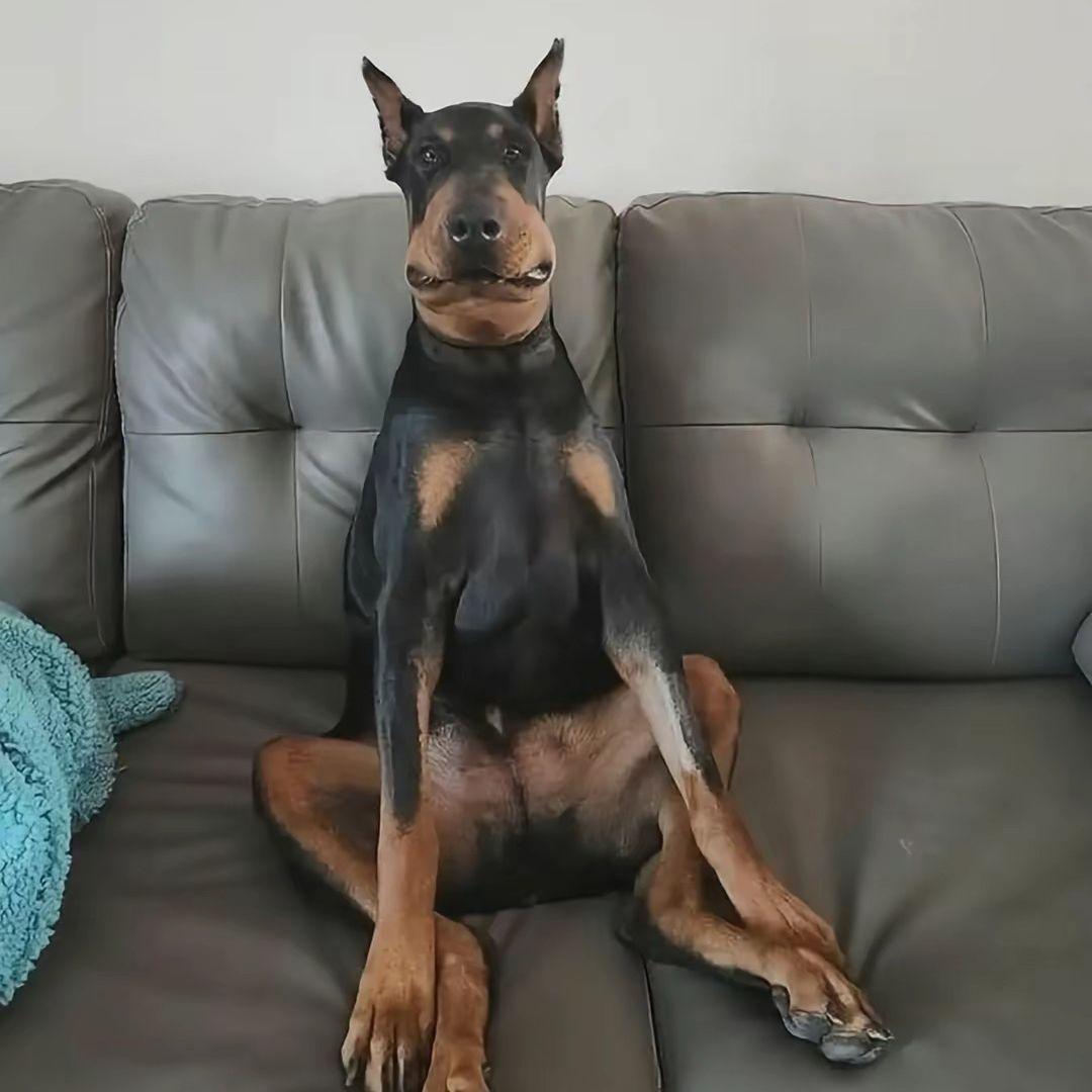 RUDDAENAMY