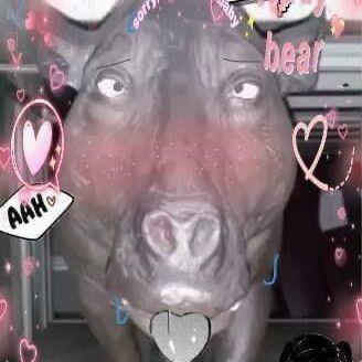 shluhka52_ avatar