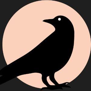 CmbatJackdaw avatar