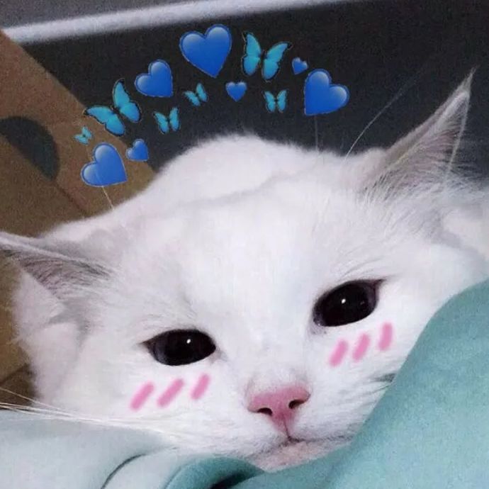 kashachiy