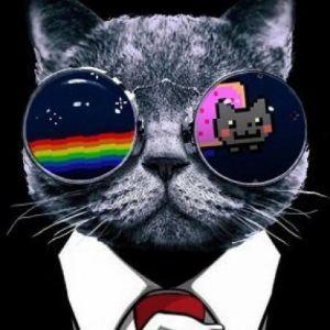 _ko_fee avatar