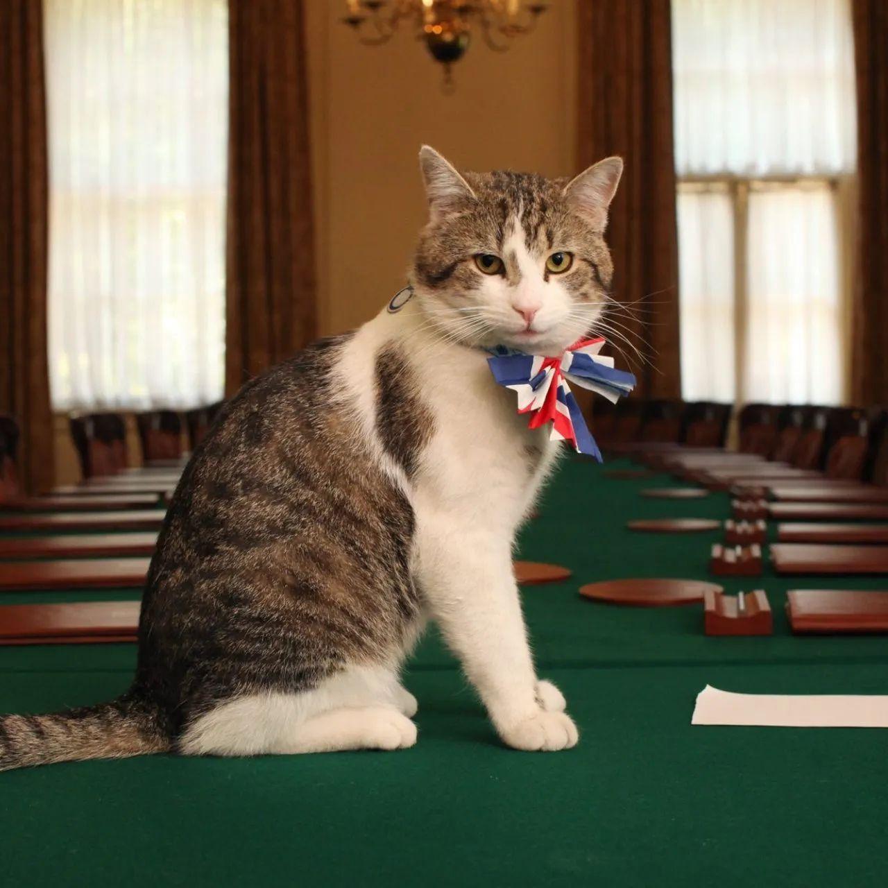 ChiefMouser