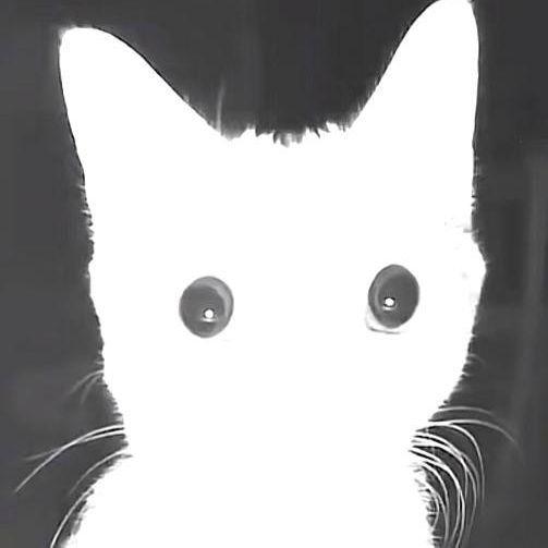 _TLIN_Surge avatar