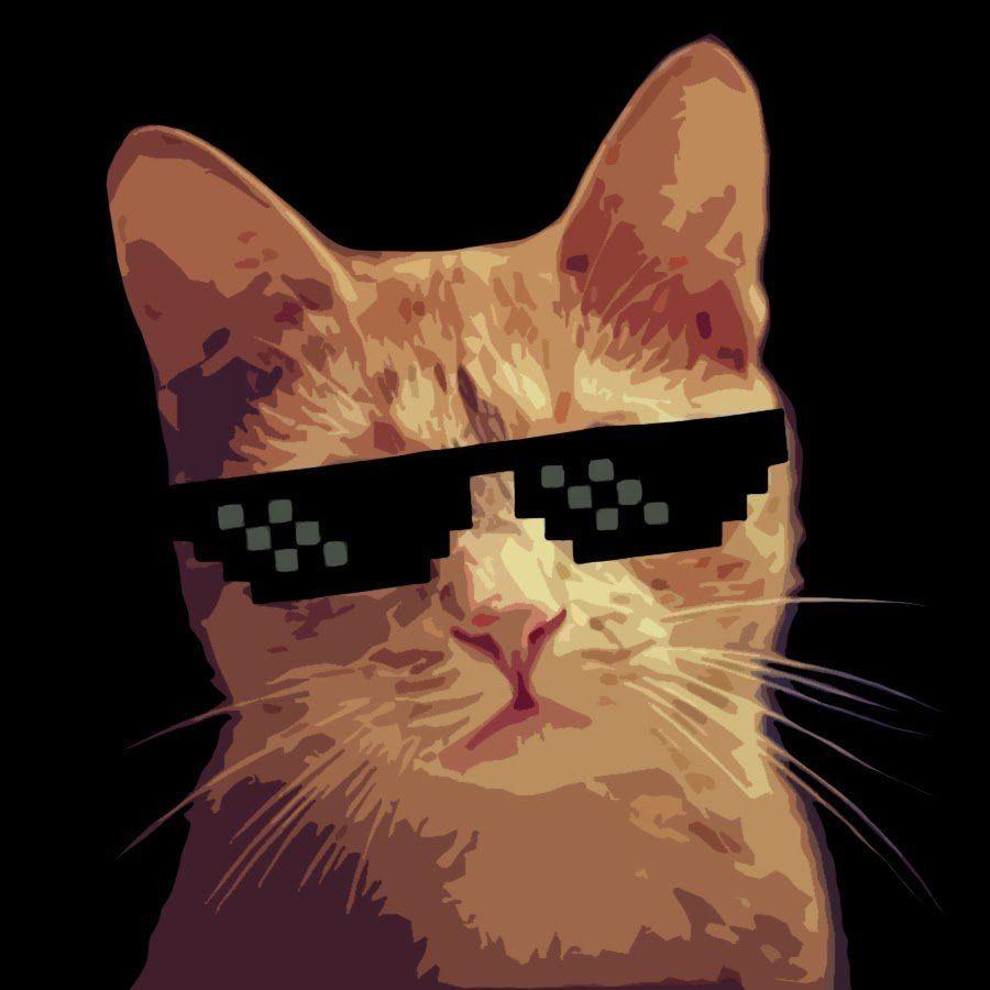 Steam cat avatars (120) фото