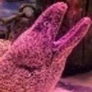 paci4icocean
