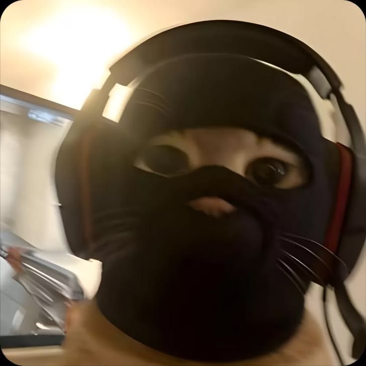 z1llyy