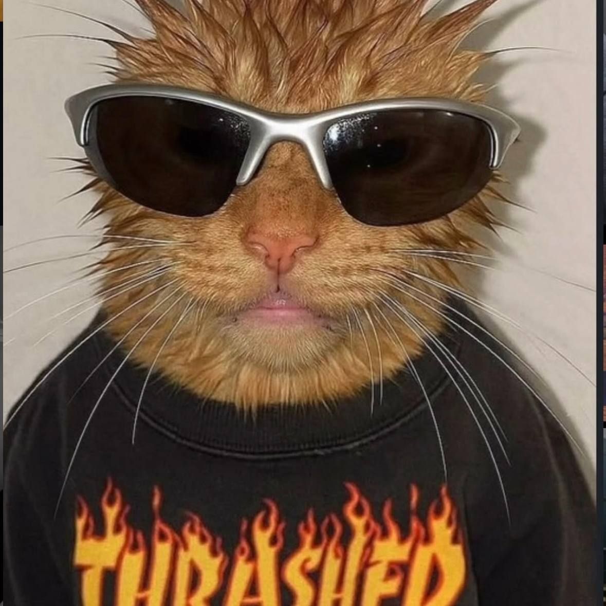 kikohatt