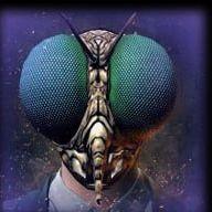 Z3roPulse avatar