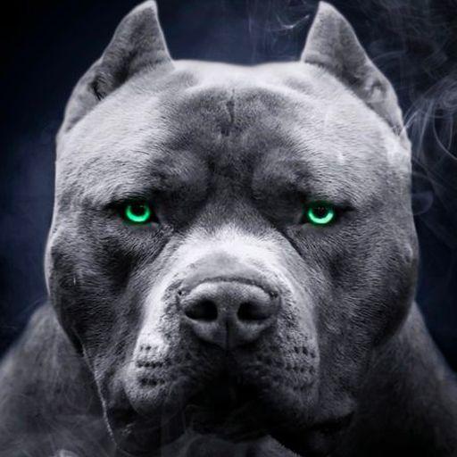 -neobtw avatar