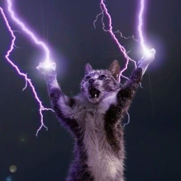 ElectroK0T