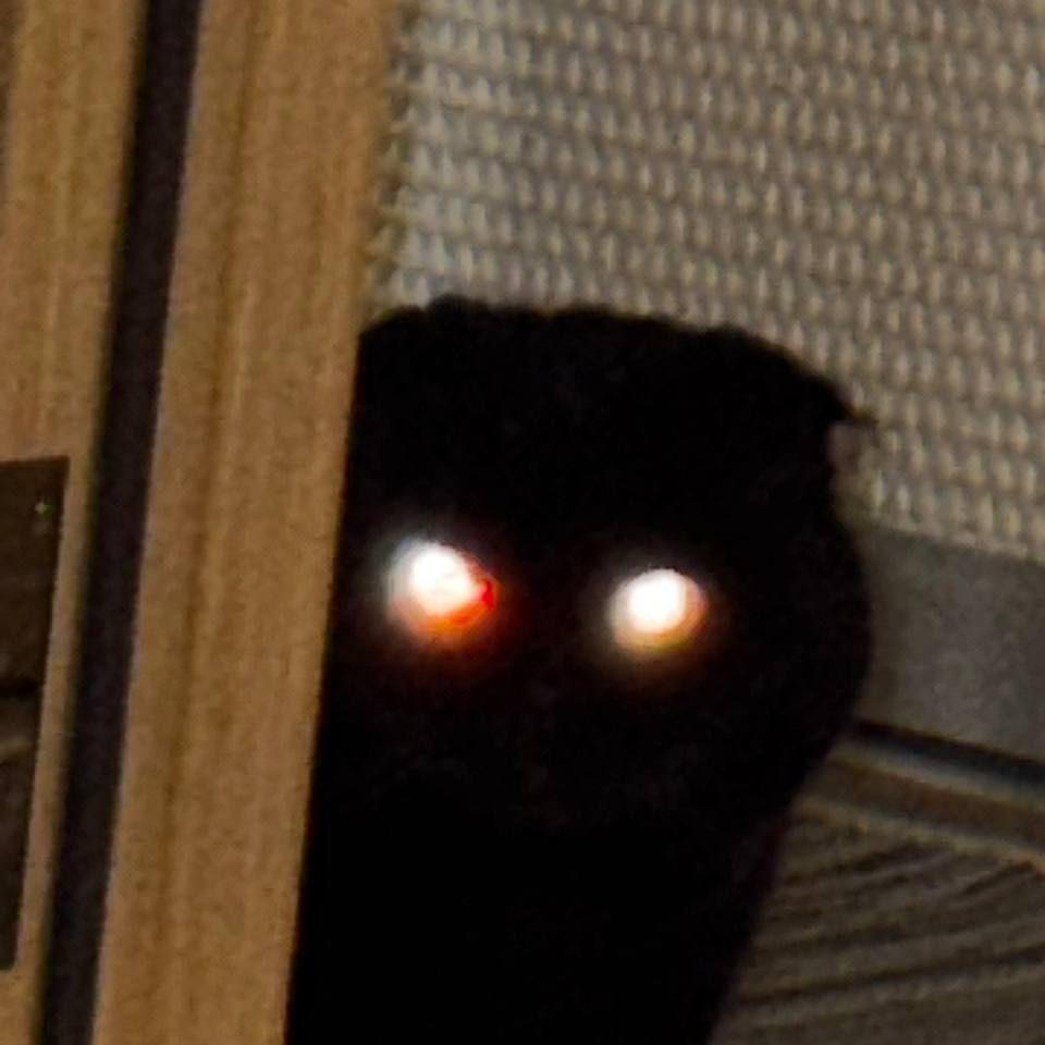 benZcol avatar