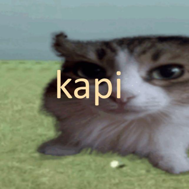 Player KaaPiii avatar