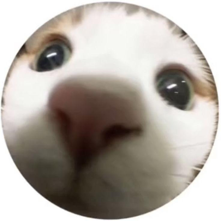 L3onardo avatar