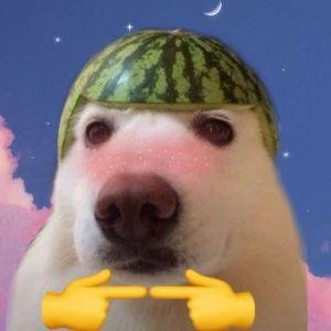 PUCh1k avatar