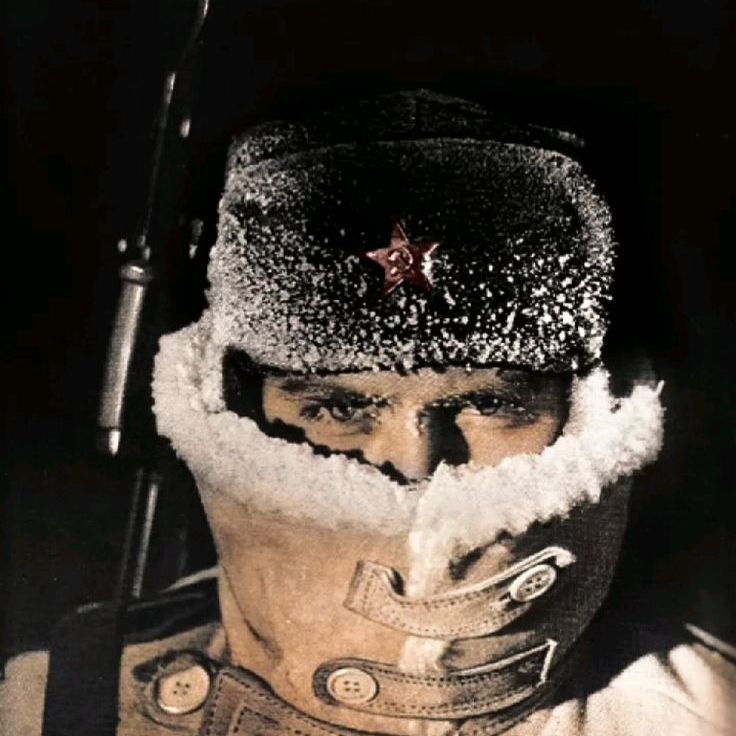 Mihajlovic FACEIT avatar
