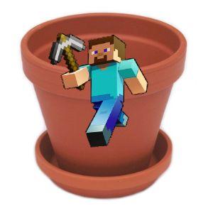 DonicSteve avatar