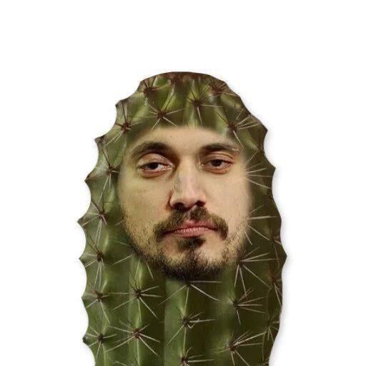 _dop_