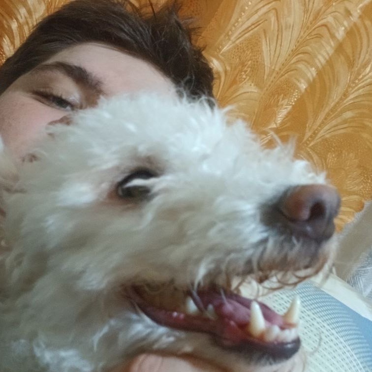 Danyamstrv