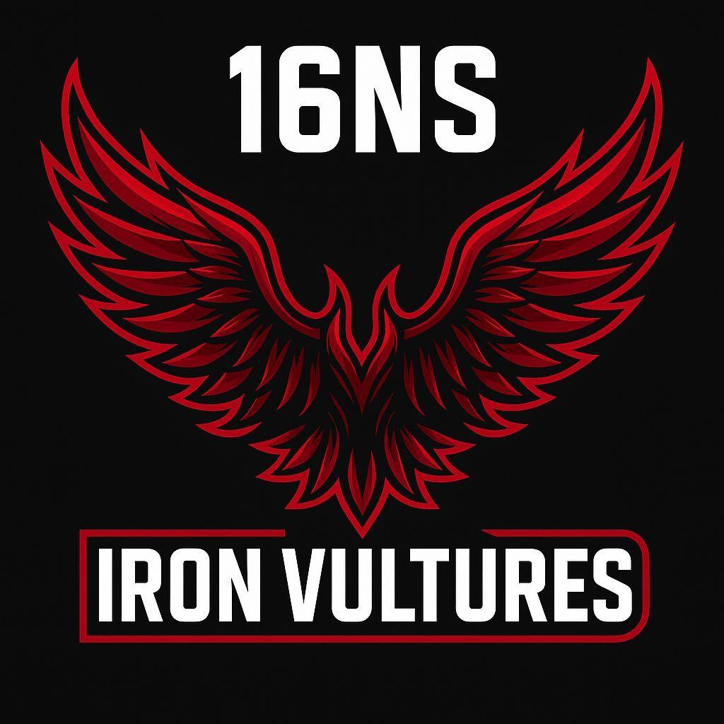 16NS avatar