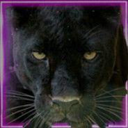 --Leoo-- avatar