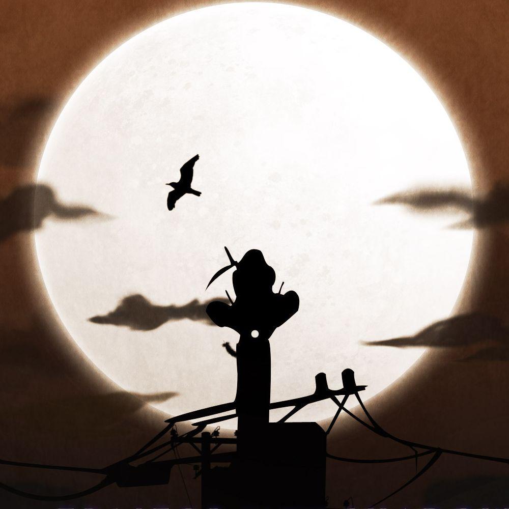 MOONF1OWER avatar