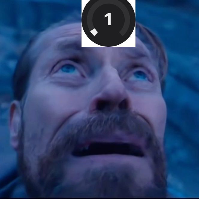 NeVeSiS