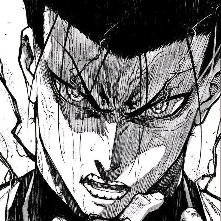 AmyZeD avatar