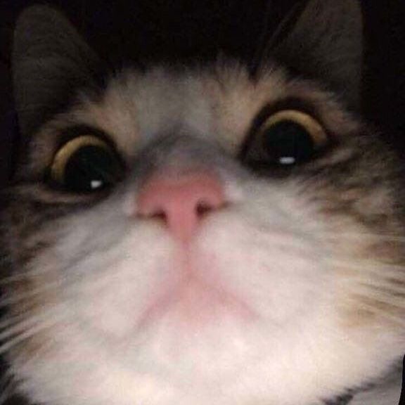 ayewu