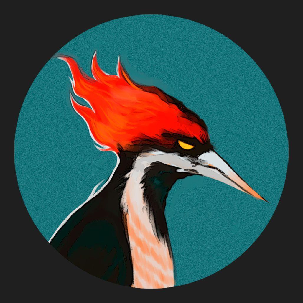 Shimau avatar
