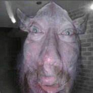 Fenek12311 avatar