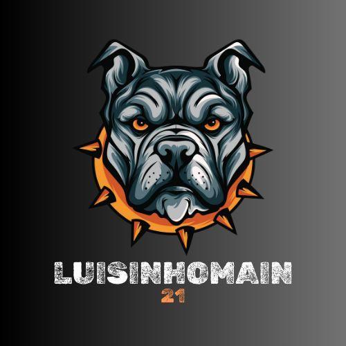 Luisinhomain avatar