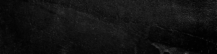 Faceit banner for @buggy