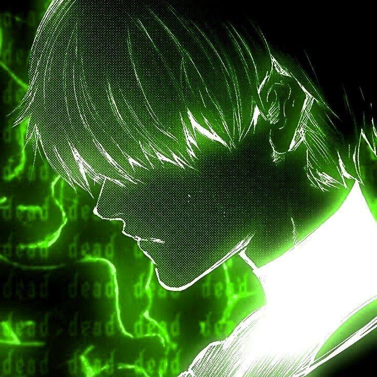 nikolenya avatar