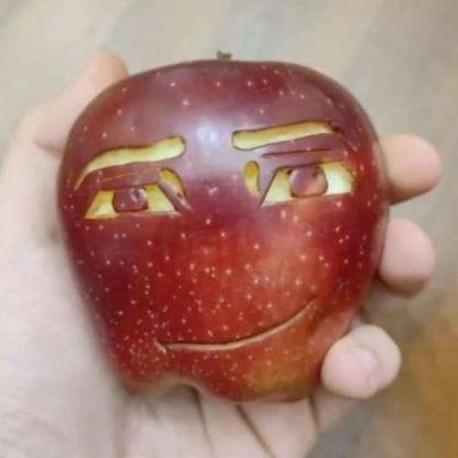 Owca__