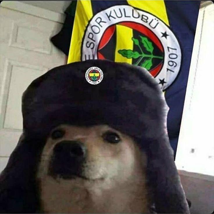 Distopiann avatar