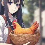 ---Chicken avatar