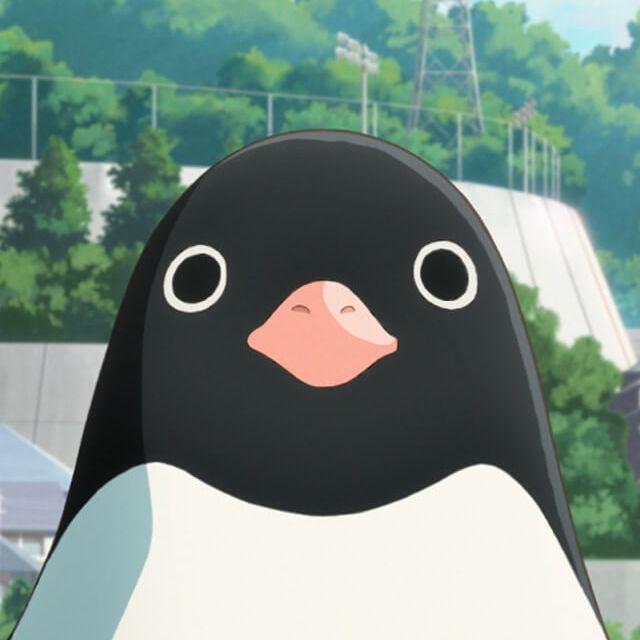 Player penguins avatar