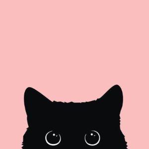IIIlIIIl avatar