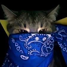 SosuChlen666