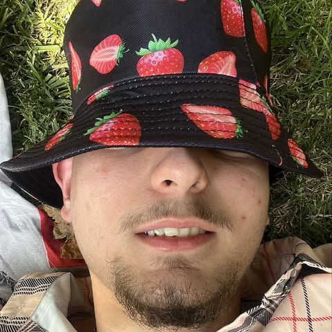 Brozbi