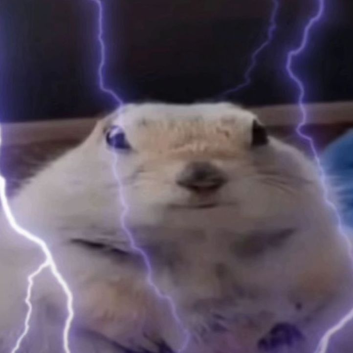 raraes2021