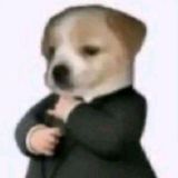 mvmvv7