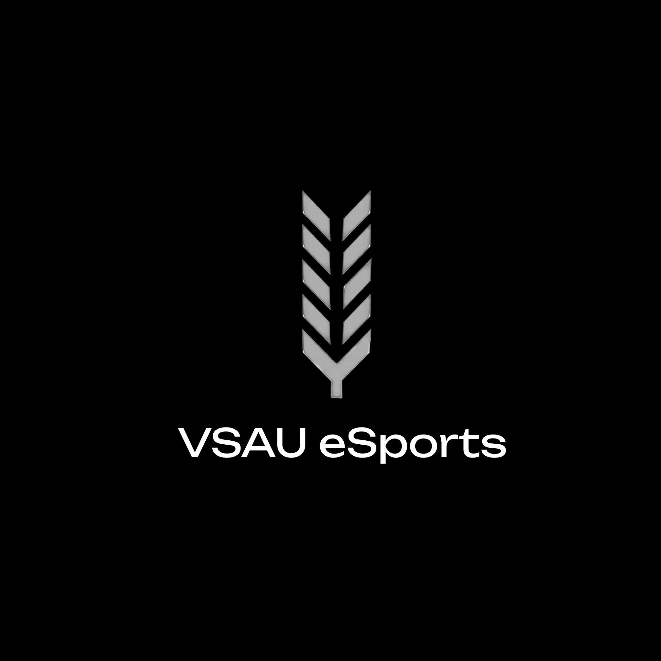 VSAU eSports