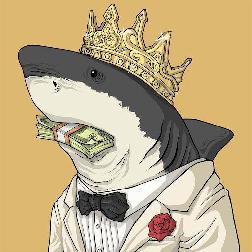 Isaev_Shark avatar