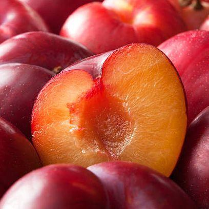 --Plum-- avatar