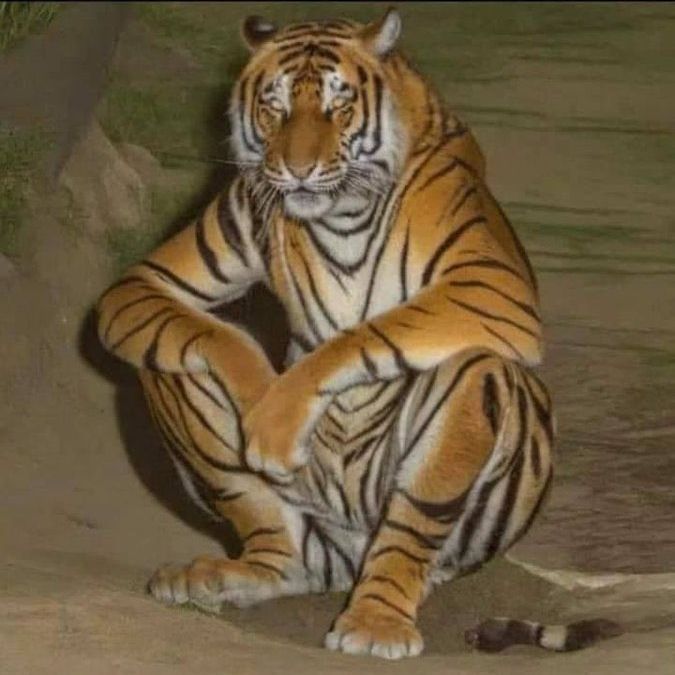 arcslit
