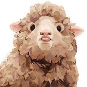 tari7 avatar